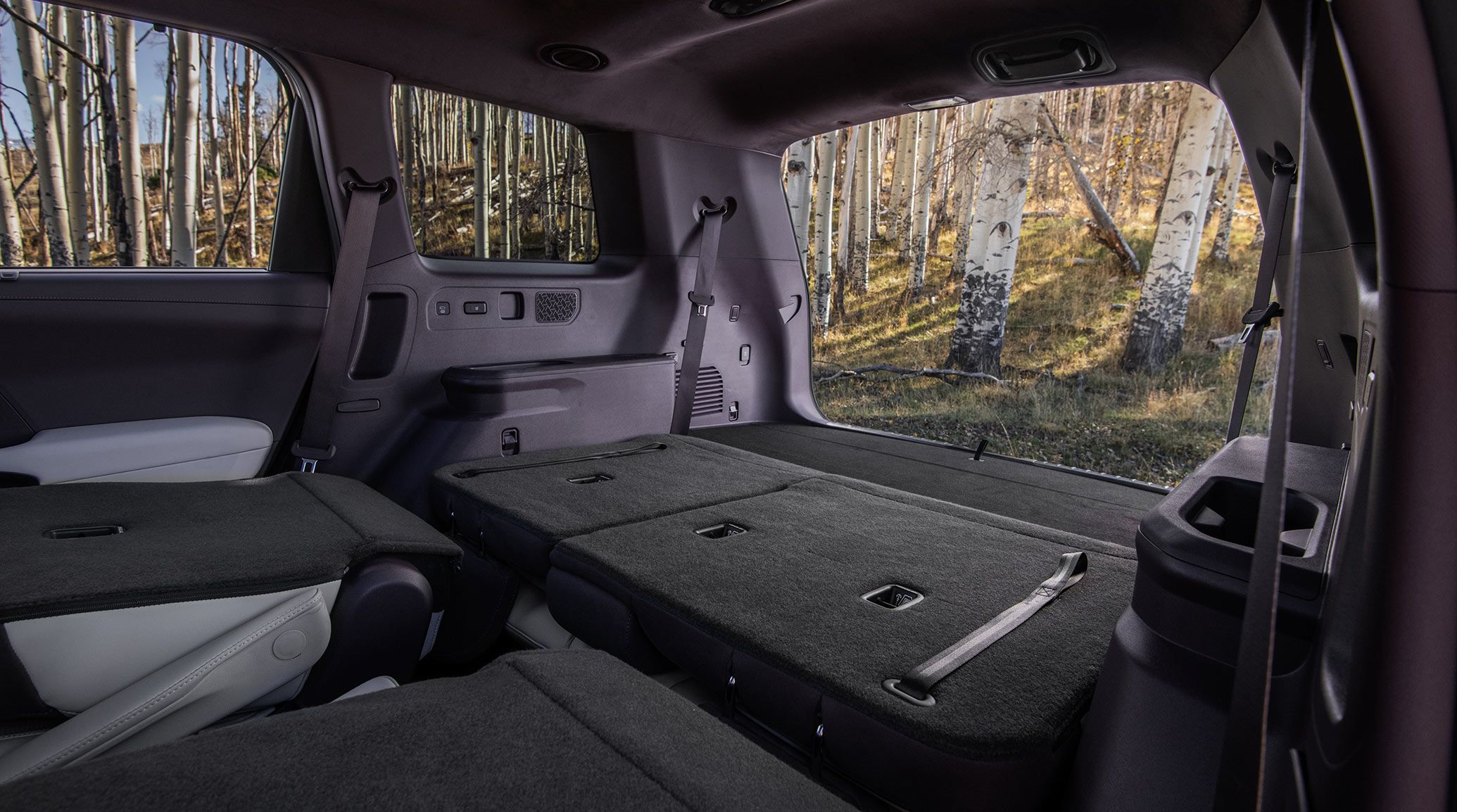 2027 Kia Telluride Hybrid interior in black with rear cupholders and the rear seats fully folded flat, creating cargo space for gear and luggage, shown in a rugged outdoor setting with birch trees visible through the side window.
